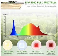 Check spelling or type a new query. Led Grow Light Review Mars Hydro Tsw 2000 Strain Insider