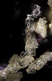 12,389 likes · 189 talking about this. Fmf Friends Of Minerals Forum Discussion And Message Board View Topic The Micro Photographs Of Christian Rewitzer