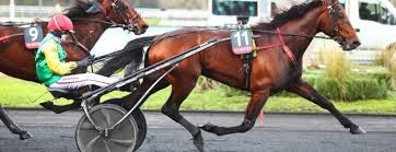 Anna mix belina josselyn bold eagle lionel princess grif propulsion treasure kronos. Grand Prix D Amerique La Plus Grande Course De Trot Au Monde Page 6