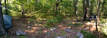 Hello to all former visitors of french creek state park, i am in the process of reserving 3 of the modern cabins for our extended family to vacation together. Detour Vegan Camping At French Creek State Park Philly Vegans