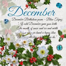 Cheyokota Digital Scraps Birthday Wishes And Images December Birthday What Is Birthday