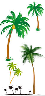 Https Www Xn Eckzb3bzhw32znfcp1zduw Com Data Palm Php