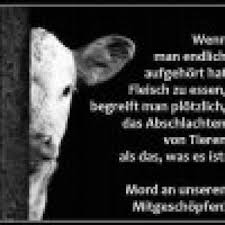 Unsere hündin (1 jahr alt) hat heute morgen auf den teppich gepinkelt !!! Hundeurin Aus Dem Teppich Entfernen Wie