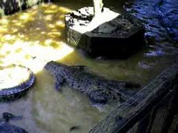 Bujang senang ialah sebuah filem komedi keluarga arahan , prof. Bujang Senang Youtube