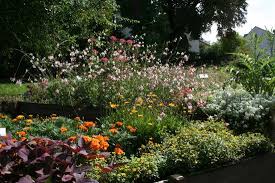 Botanischer Garten Gera Aktuelle 2020 Lohnt Es Sich Mit Fotos