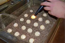 Posts About Turtles On Becoming Cliche Reptile Room Turtle Egg Holder