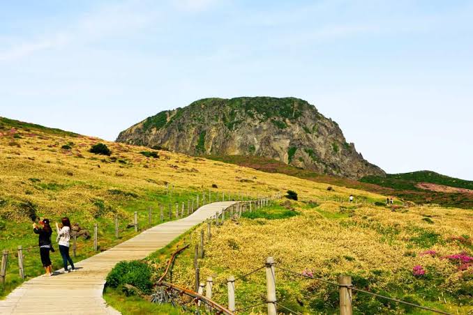 한라산 사진 7