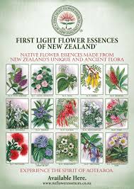 Mulch, mulch, mulch!get your soil ready for garlic planting prep your soil for your strawberries. First Light A2 Poster Featuring 15 Stunning Pictures Of Nz Native Plants