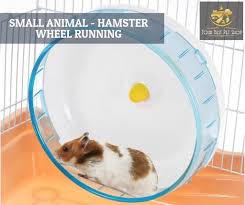 When you're ready for a new family pet, request an appointment to. Pin On Pet Supplies