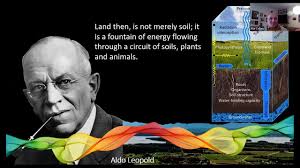 Abe Collins VGLC 2022