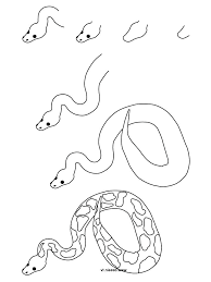 How to draw animals cobra. Rain Forest Animals Easy To Draw Novocom Top