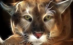 Resultados De La Busqueda De Imagenes De Google De Http Img Wallpaperstock Ne Big Cats Art Cat Art Animal Art