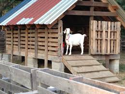 Inspiring 21 Diy Wood Pallet Goat Shelter Https Meowlogy Com 2018 03 02 21 Diy Wood Pallet Goat Shelter If You Re Raising Goat Barn Goat Shelter Goat House