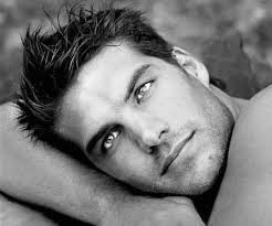 Bitter Legacy (Bitter Legacy, #1) by Dal Maclean