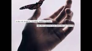 скачать песню а вы не знаете почему живот болит Skachat Besplatno Pesnyu Nicebeatzprod Babochki V Zhivote V Mp3 I Bez Registracii Mp3hq Org