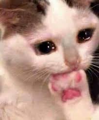 صباحكم جميل كجمال هذه الاطلالة ..😍