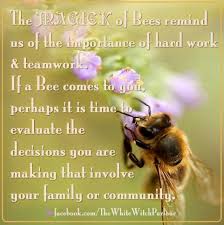 Animal Insect Spiritual Meaning Totem Magick Witch Nature Bee Bumble Signs Witch Wisdom Old Bee Spirit Animal Animal Spirit Guides Animal Medicine
