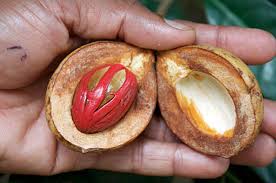 Maybe you would like to learn more about one of these? Inside The Spice Cabinet Mace Spices Mace Recipe Sweet And Spicy