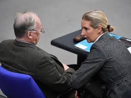 Partei Reagiert Unruhig Die Afd Und Das Liebe Geld Alice Weidel Unter Druck Hintergrunde Westfalische Nachrichten
