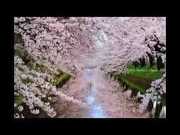 Martisor handmade confectionate prin tahnica quilling, foto:. Imagini Frumoase De Primavara By Andreea Mitrache