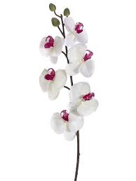 Efavormart.com has been visited by 10k+ users in the past month Silk Flowers And Artificial Plants At Wholesale Prices