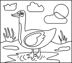 Large selection of coloring pages in the category animals. Animals Coloring Online