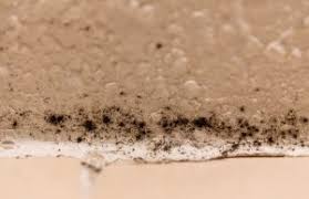 Geen was drogen in de badkamer, zo blijft de vocht in de badkamer hangen. Artikelen Over Badkamer Schoonmaken Poets Prins