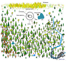 Arena Map Hunger Games Arena Hunger Games Map Hunger Games