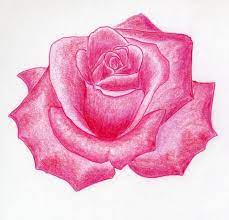 Botao de rosa para colorir. Simple Rose Drawing With Colour Novocom Top