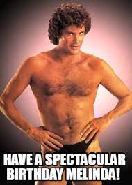 Meme Creator Funny Happy Birthday Heidi Party Your Hasselhoff Meme Generator At Memecreator Org