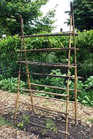 The vegetables themselves will grow into much smoother and less damaged cucumbers that look pretty and unblemished because they aren't laying on the ground. 15 Easy Diy Cucumber Trellis Ideas A Piece Of Rainbow