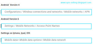Apn Settings Apn Mobile Data Data Network