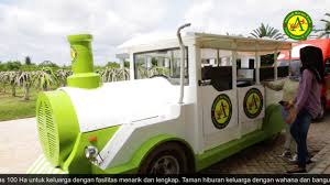 Kiram, karang intan, banjar, kalimantan selatan, indonesia, 70852. Wisata Rumah Terbalik Banjarmasin Paling Viral Gerai News