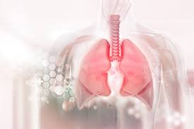 Trend Google: semaglutide