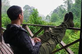 Wer einen einfachen flug nach kuching wenn sie ihren flug nach kuching verschieben oder stornieren müssen, wenden sie. Sinfonie Der Gruntone Borneo Gruppenreise 16 T Reisen Mit Sinnen