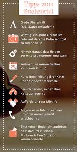 Bildergebnis für katze vermisst suchplakat vorlage katzenfutter, kater, plakat, wissen. Vermisst