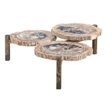 Petrified wood maintains a softer aesthetic, featuring organic tones and graining—turned to stone after being buried under sediment and volcanic ash. Harper Willow Brown Petrified Wood And Stainless Steel Natural Coffee Table 19 In X 40 In X 40 In 91964 At Tractor Supply Co