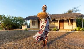 Image result for Coffea zanguebariae