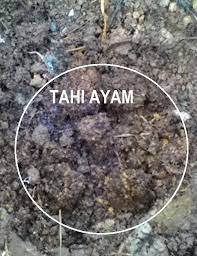 Kaedah pertama ialah dengan menggaulkan baja tahi ayam kedalam tanah semasa penyediaan kawasan dengan cangkul atau trektor (rotovator). Anim Agro Technology Tahi Ayam Baja Organik