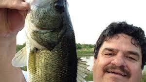 Recoge frutos de la siembra • Panorama Agrario