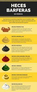 Pin En Animales Fantasticos