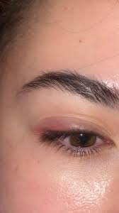 Image result for Blepharis sol