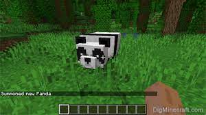 Players will, for example, find that stray cats now spawn in villages and can be tamed using fish. How To Summon A Panda In Minecraft