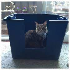 Litter Boxes For High Spraying Cats Litter Box Cat Litter Box Furniture Cat Litter Box