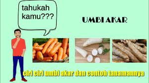 Ciri ciri bisul yang terjadi pada kulit sesuai dengan jenisnya serta informasi penyebab, pengobatan, dan cara pencegahan bisul secara alami. I0lzzfvockqeam