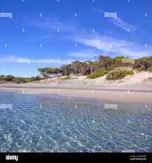 Costa Salento: Spiaggia Alimini, Italia (Lecce). La Torre Fiumicelli,  situata nel territorio di Otranto, si trova ora a livello del mare, a causa  dellinnalzamento delle acque Foto stock - Alamy