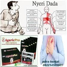 Diharapkan perkongsian artikel cara hilangkan sakit pinggang ini dapat memberikan manfaat kepada anda. Jual Agaricpro Obat Untuk Sakit Nyeri Dada Sebelah Kanan Atau Kiri Yang Aman Di Lapak Adira Store Bukalapak