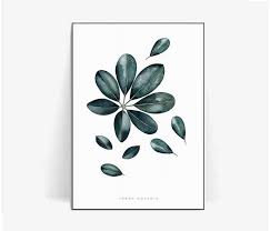 Benjamin Leaf Watercolor Botanical Watercolor Print Watercolor Ficus Leaf Print Herbs Pearls Watercolor Illustrations Watercolor Herbs Plant By Beautyofpr Bilder