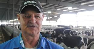 Dairy Cattle recent news