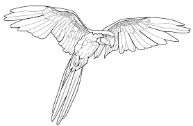 These alphabet coloring sheets will help little ones identify uppercase and lowercase versions of each letter. Macaw Flying Coloring Page Free Printable Coloring Pages For Kids